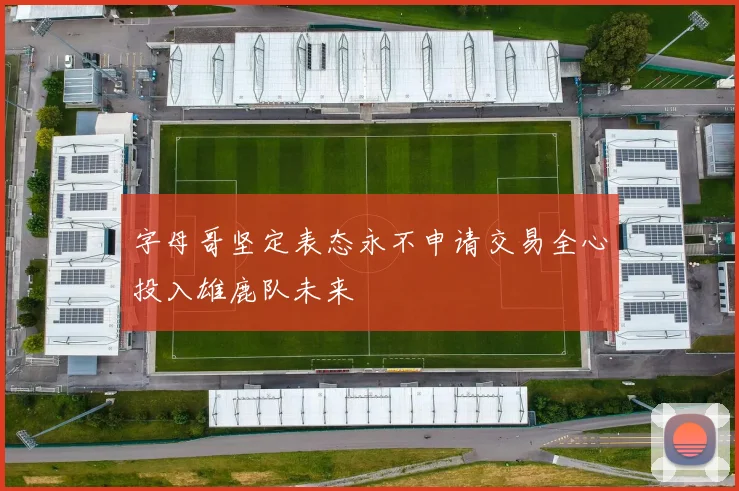 字母哥坚定表态永不申请交易全心投入雄鹿队未来