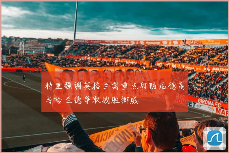 特里强调英格兰需重点盯防厄德高与哈兰德争取战胜挪威